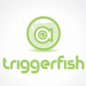 Logotipo De Pescado - Triggerfish